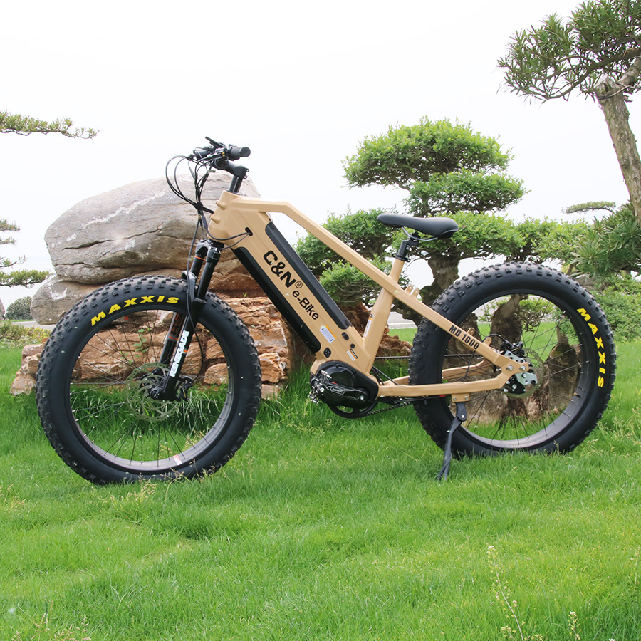 Kit de conversion de vélo élec - Mid Drive Conversion Kit 1000W avis et prix